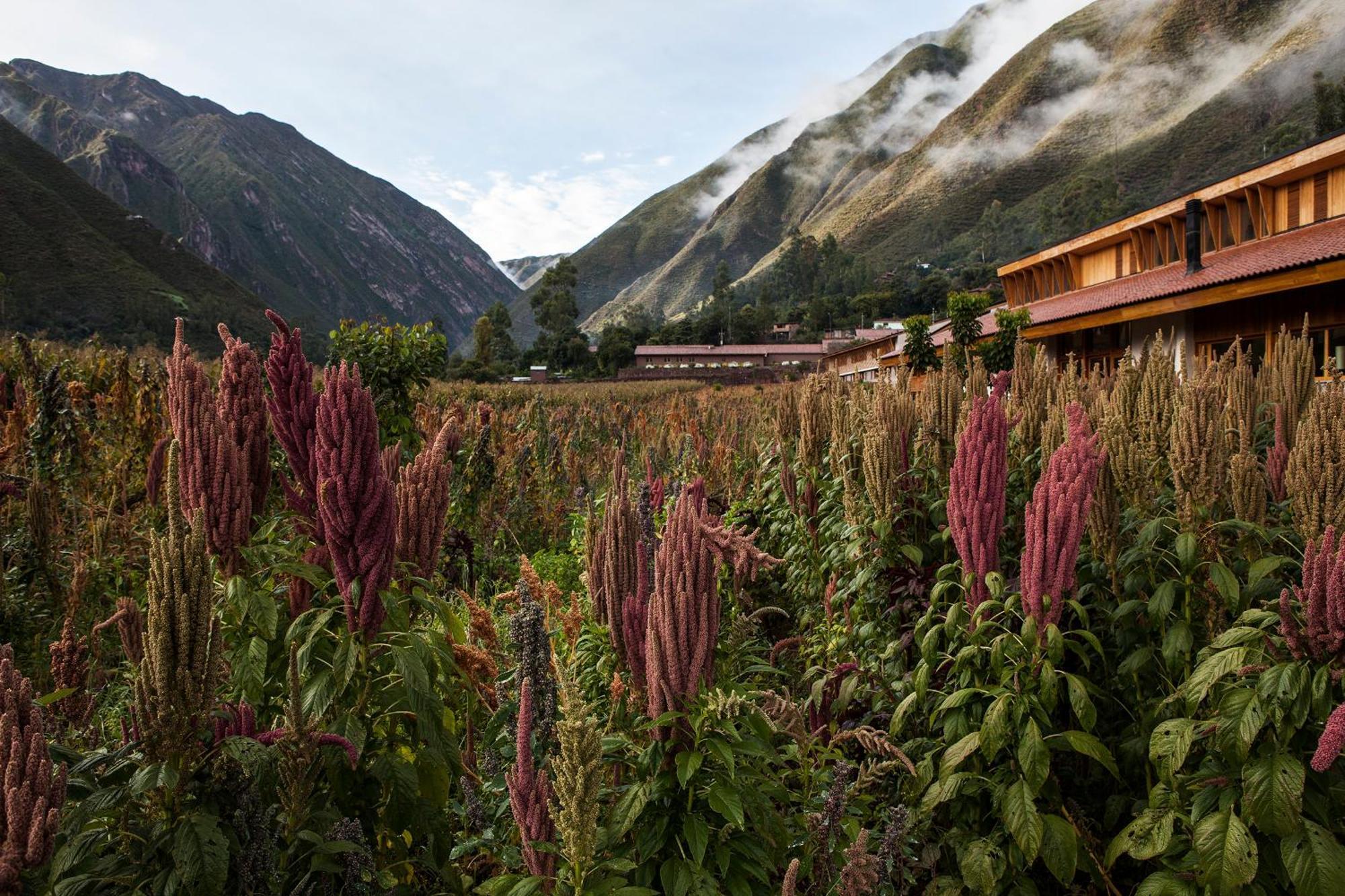 Explora Valle Sagrado 우루밤바 외부 사진